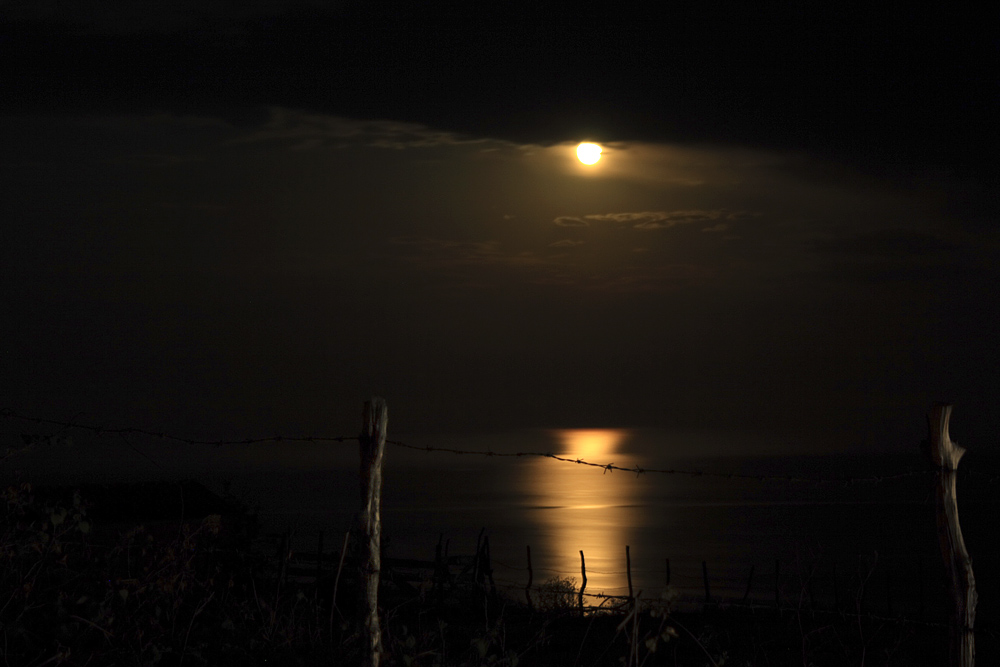 Mond bei dunkler Nacht ! Moonlight !