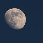 Mond bei Sonnenuntergang in Schmitten FR 2. Juni 2020