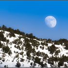 Mond bei strahlendem Sonnenschein