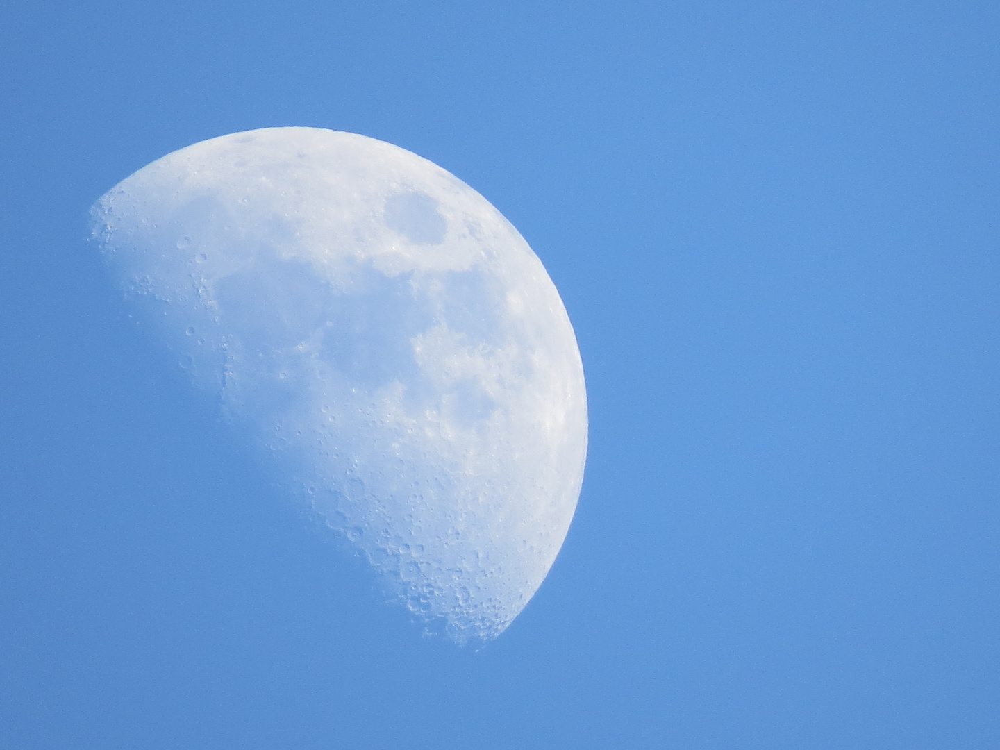 Mond bei Tageslicht