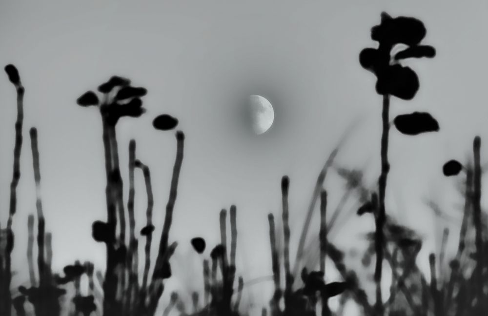 mond bild ...