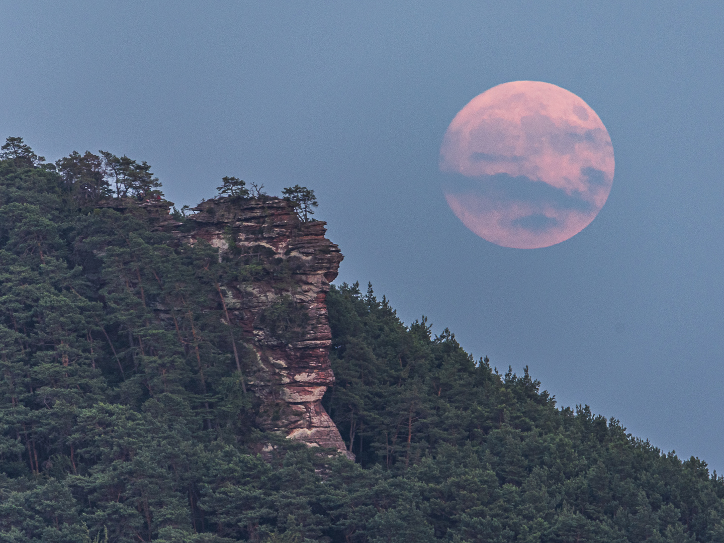 Mond Buchenkammern 