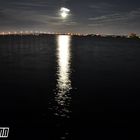Mond Cope Coral.FL