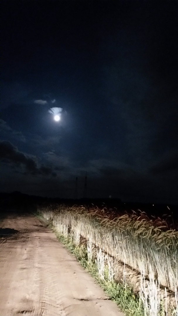 Mond erwischt, Feldweg