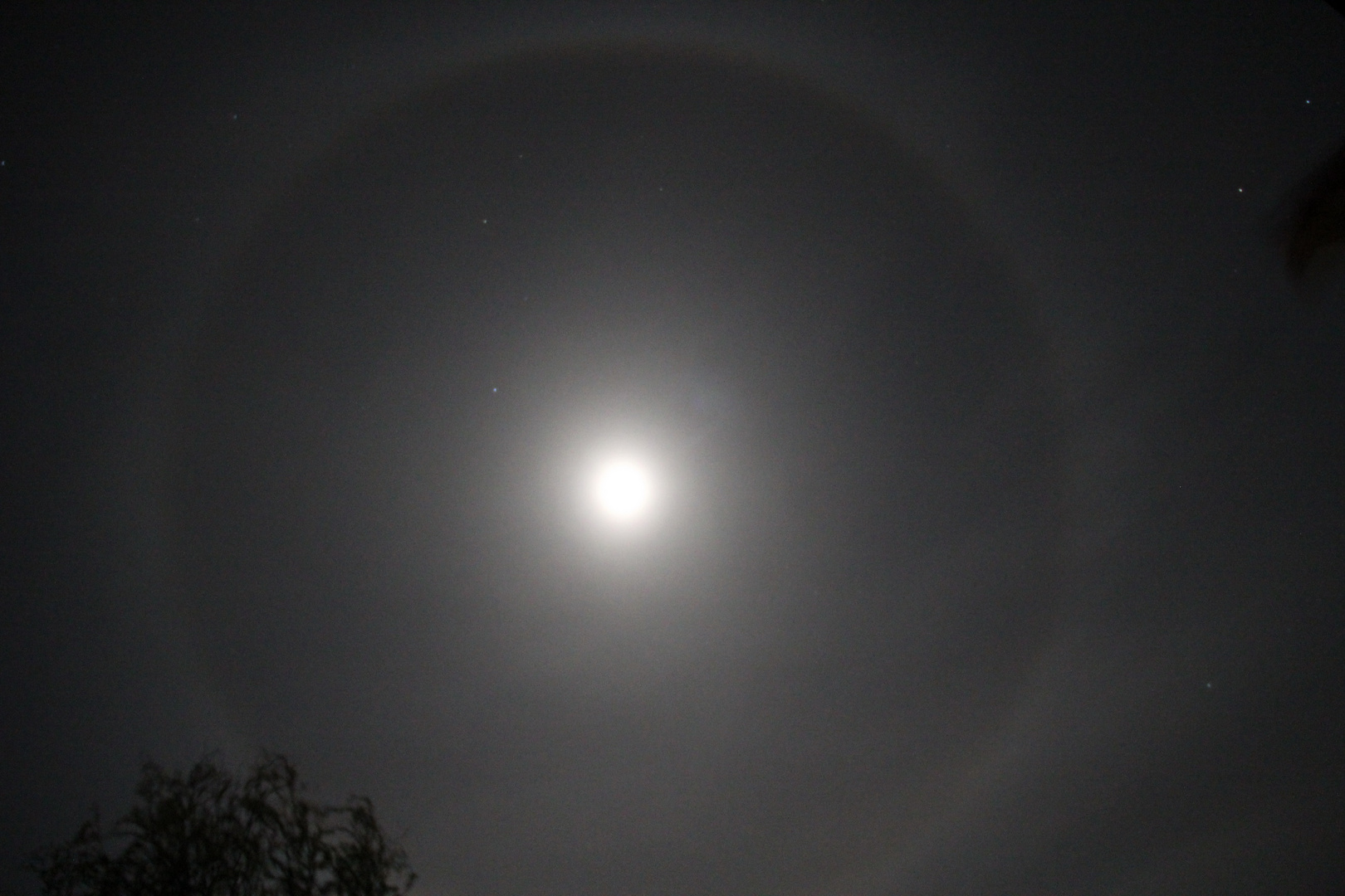 Mond Halo