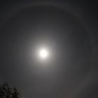 Mond Halo