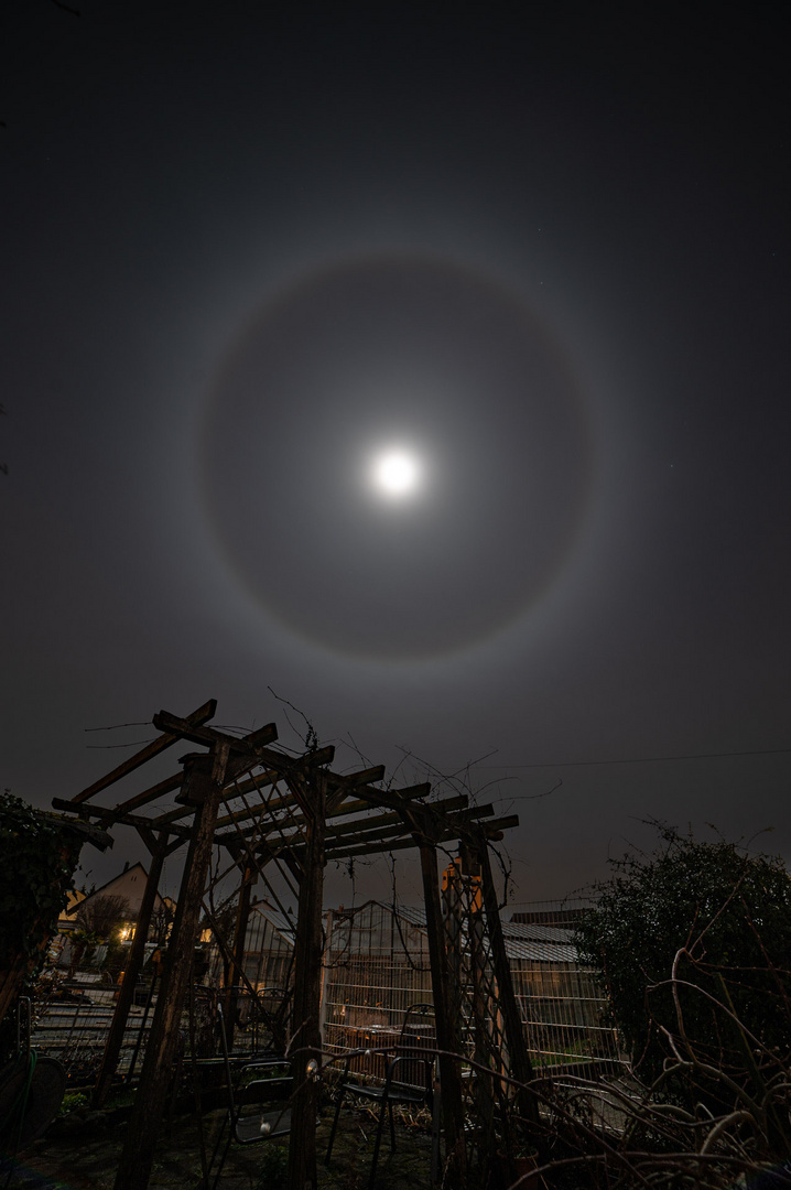 Mond Halo