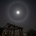 Mond Halo