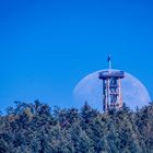 Mond hinter Turm