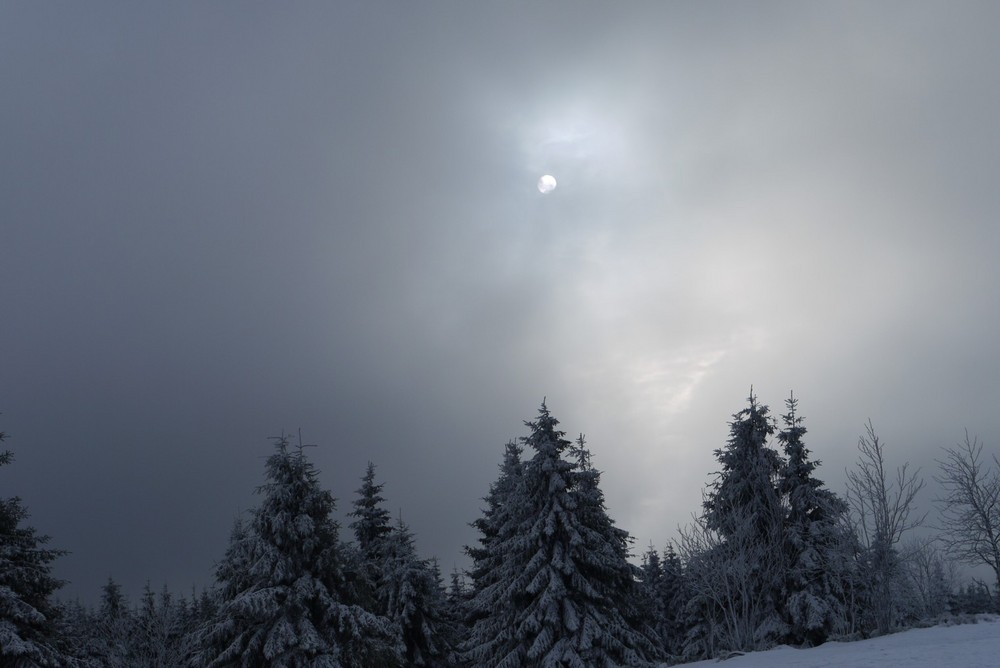 Mond im Harz