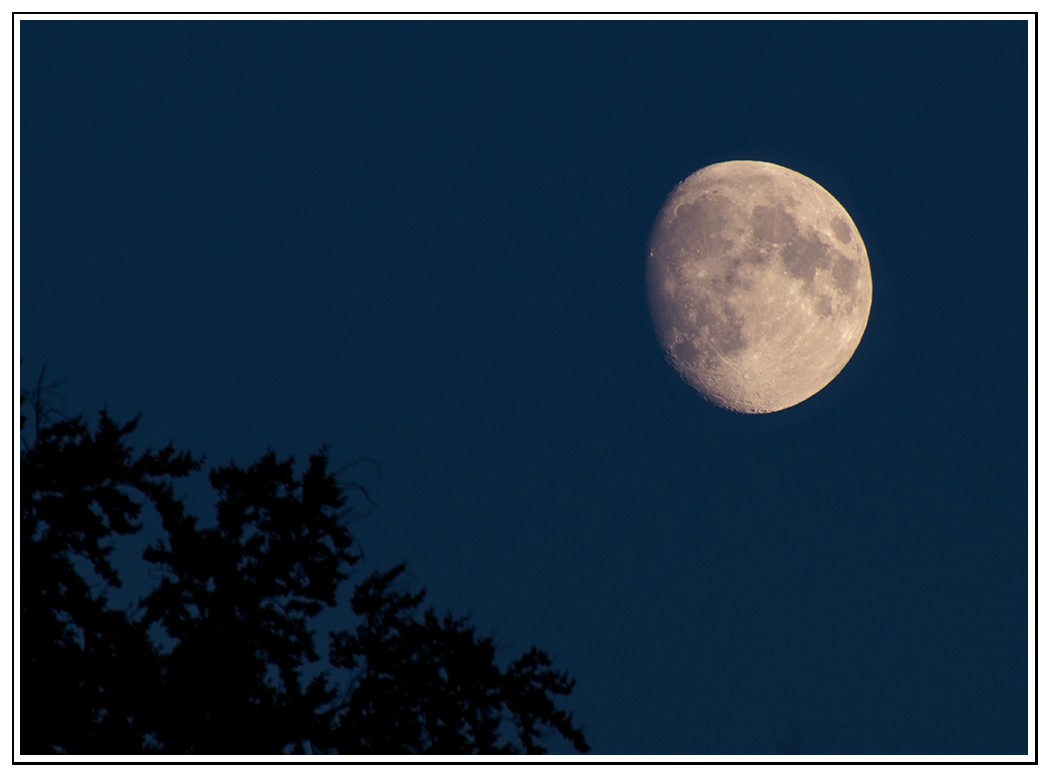 Mond im Herbst