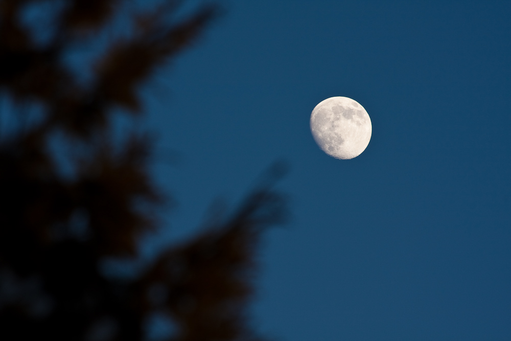 Mond im Hintergrund