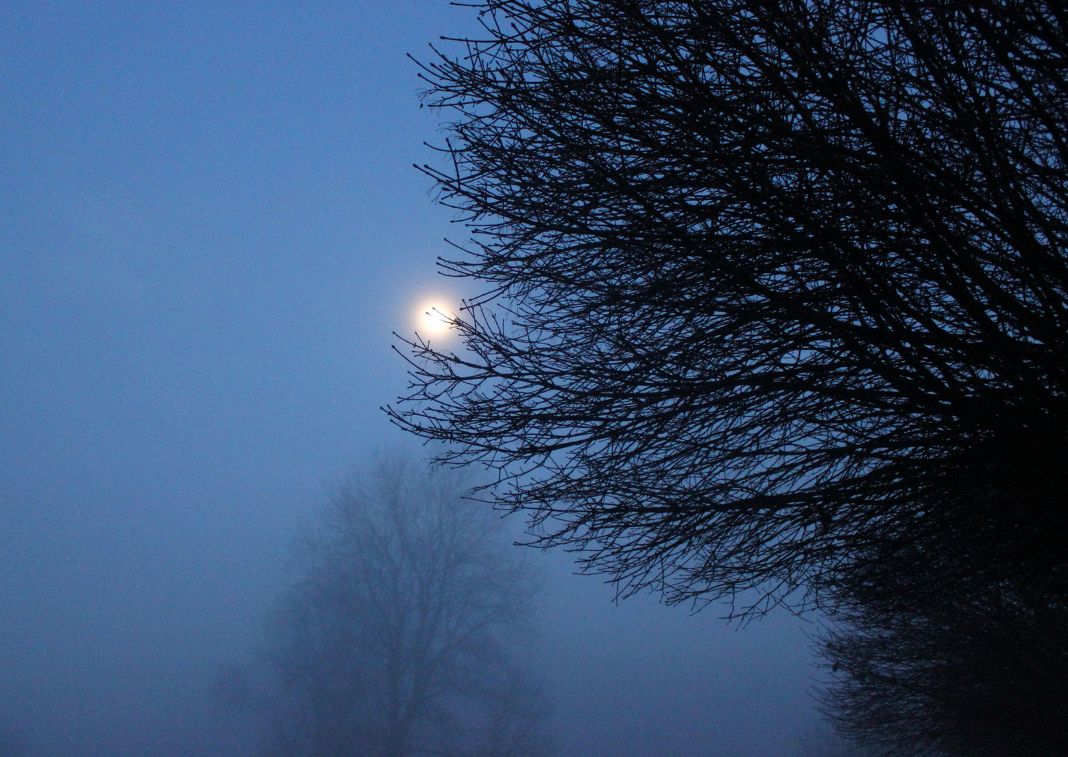 Mond im Mittelpunkt