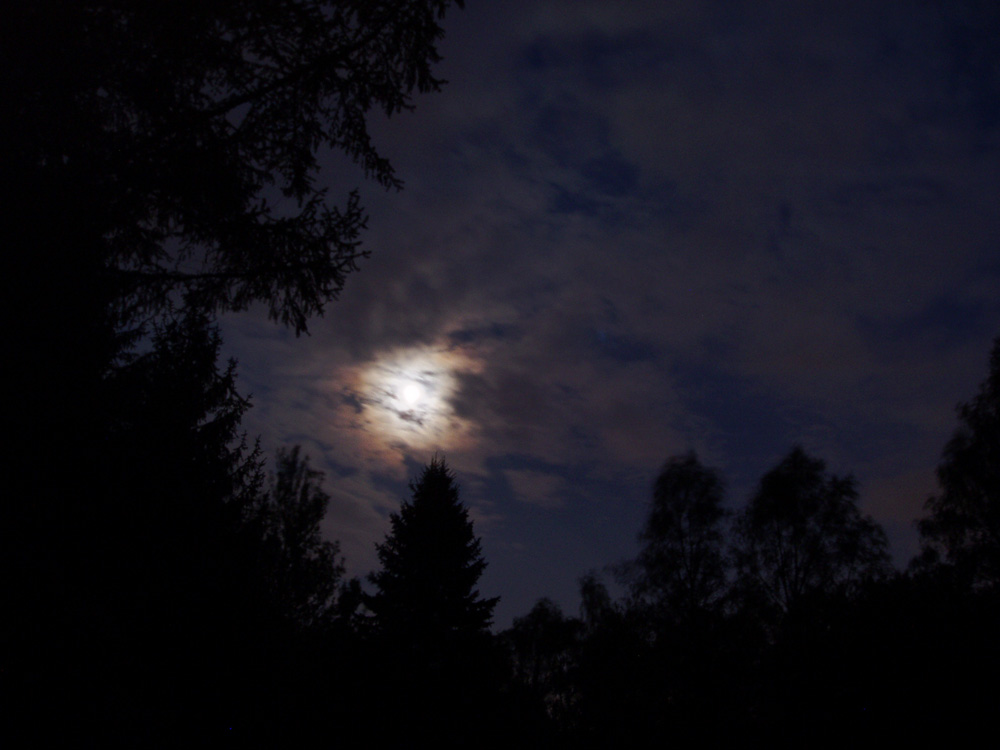 Mond im Moor