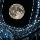 Mond im Tiger & Turtle