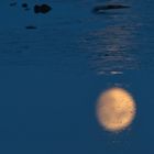 Mond im Wasser