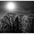 Mond im Winter