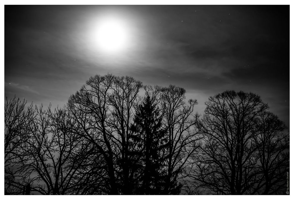 Mond im Winter