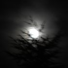 Mond Impression