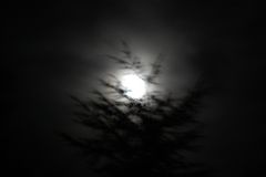 Mond Impression