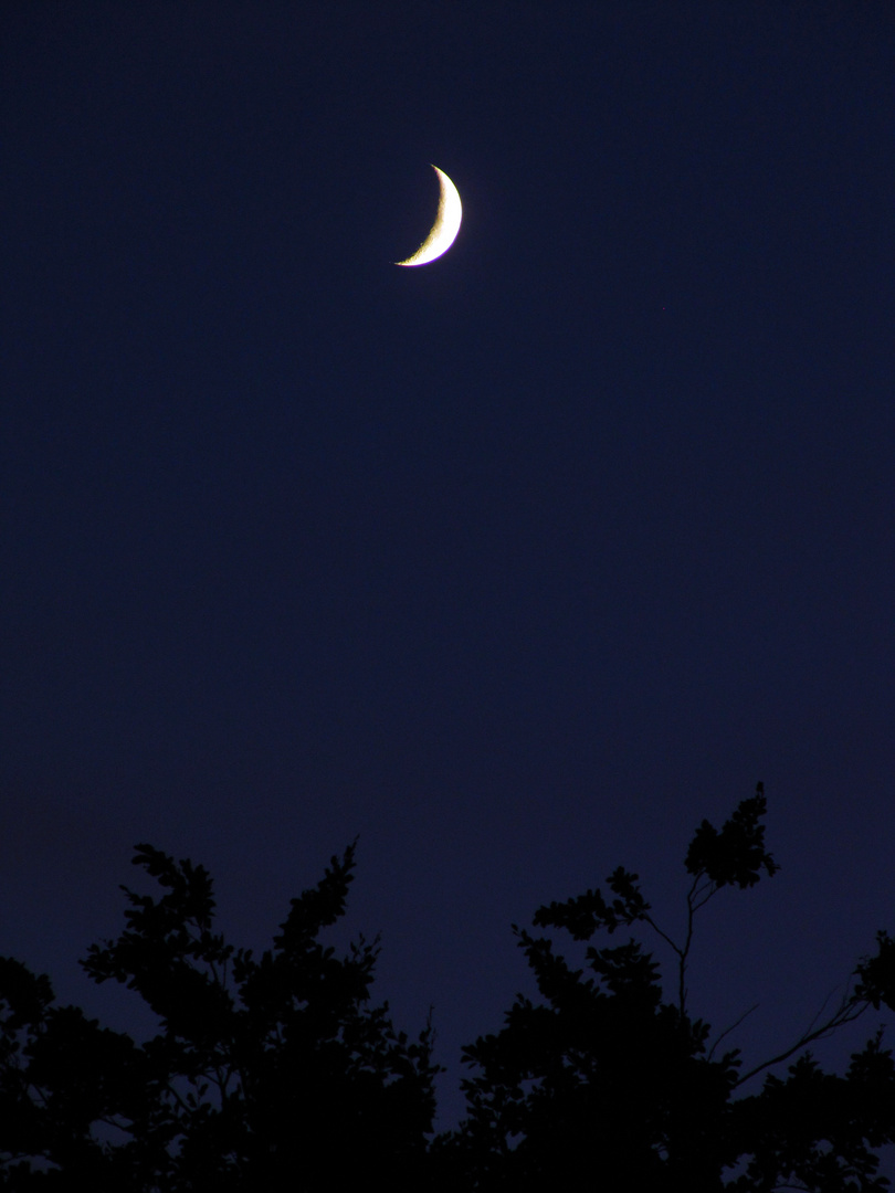 Mond in Aachen