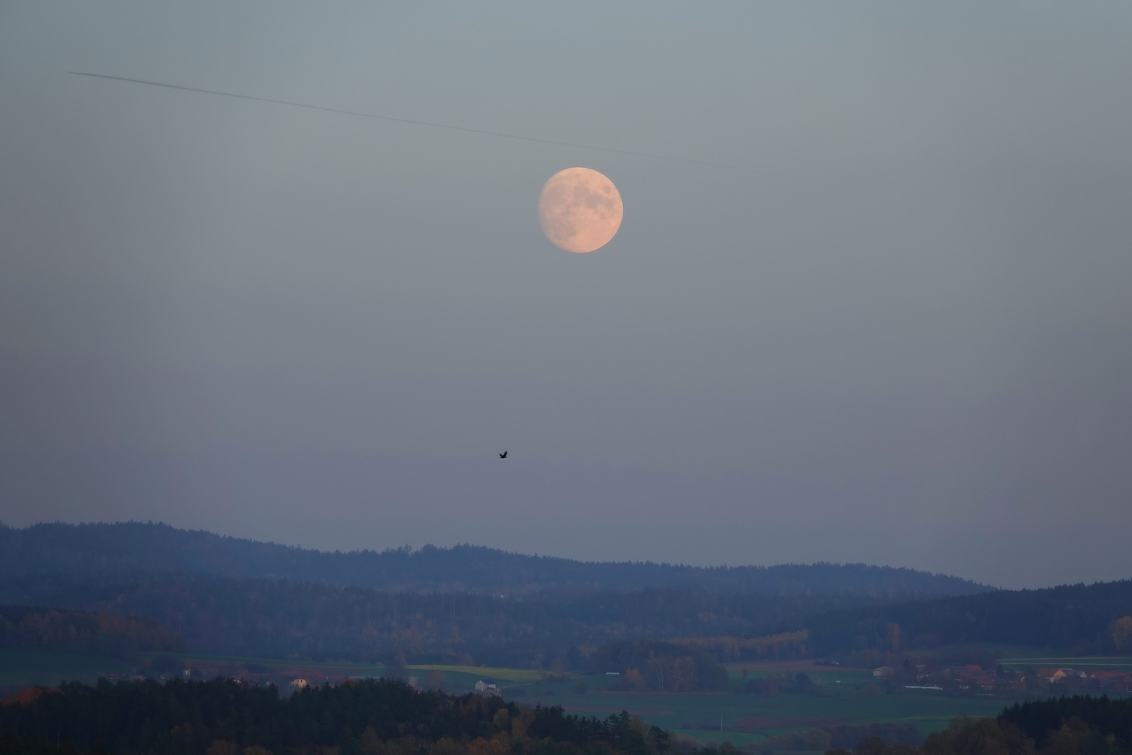 Mond in der Abenddämmerung