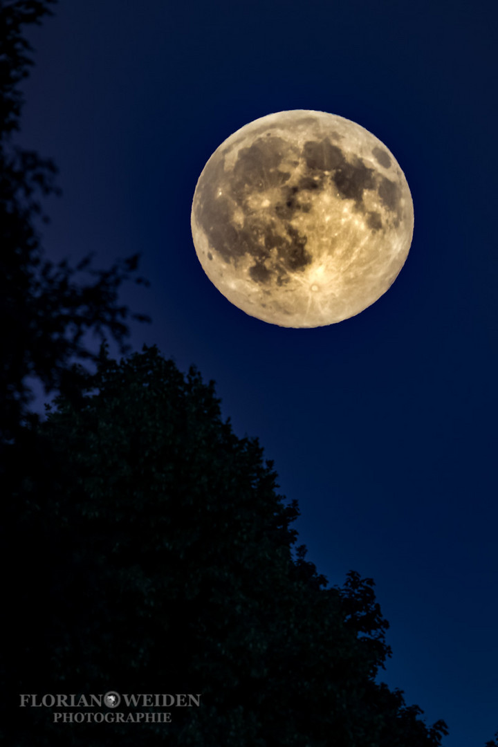 Mond in der blauen Stunde