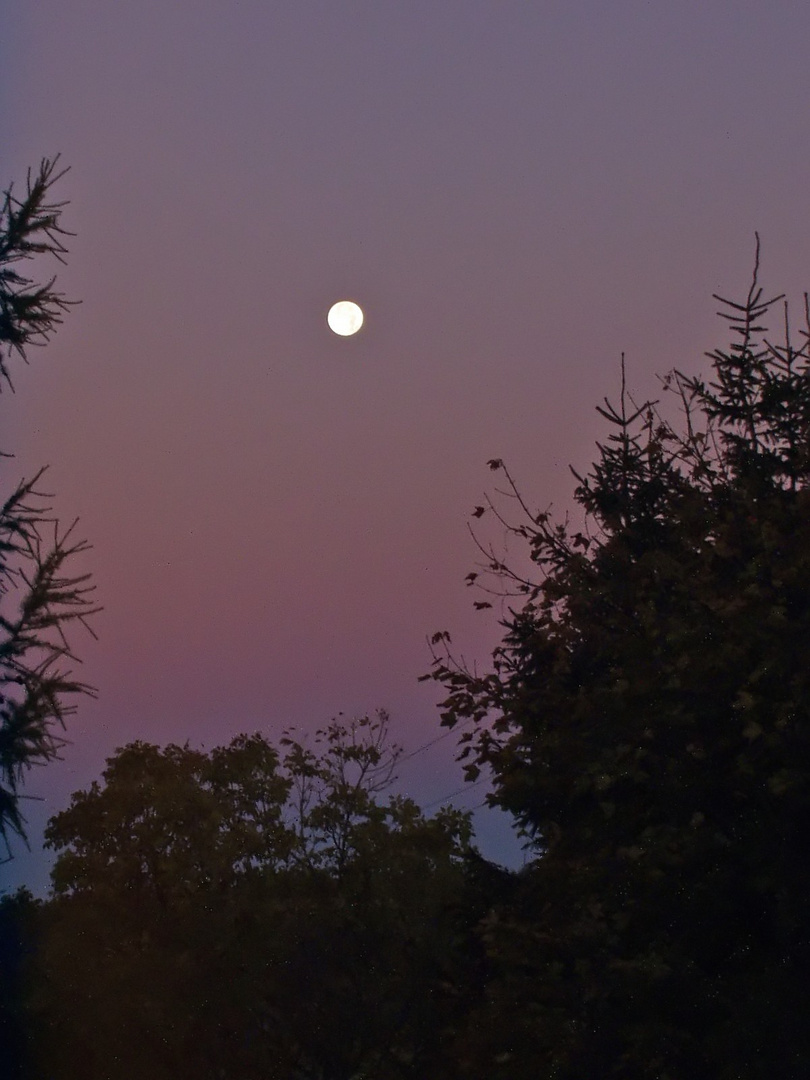 Mond in der Nacht