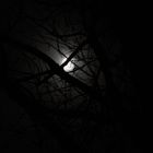 Mond in der Sylvesternacht