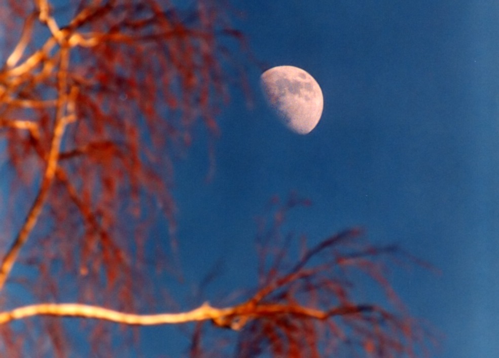 Mond in Spät-Nachmittagssonne