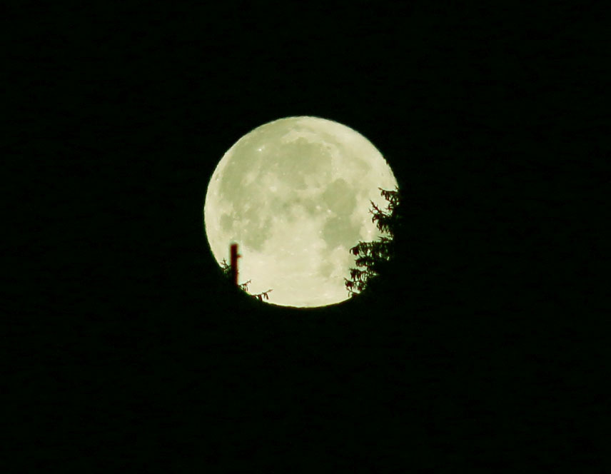 Mond mit Beschützern