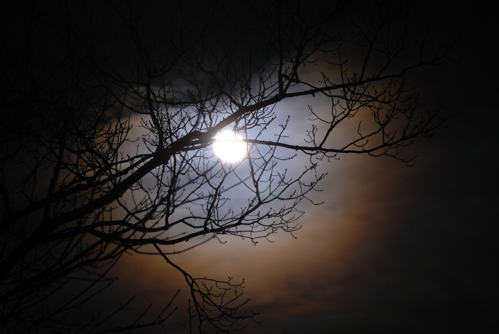 Mond mit Lichtkranz II