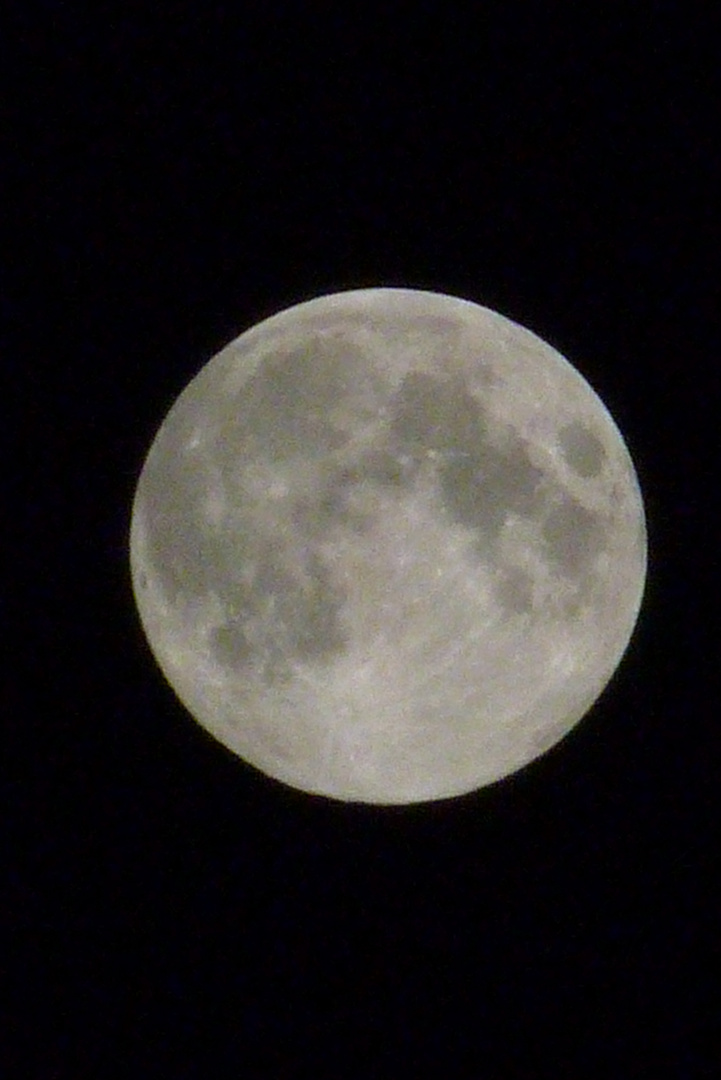 Mond mit maximalen Tele mit meiner FZ38.