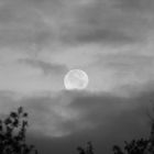 Mond - Moment