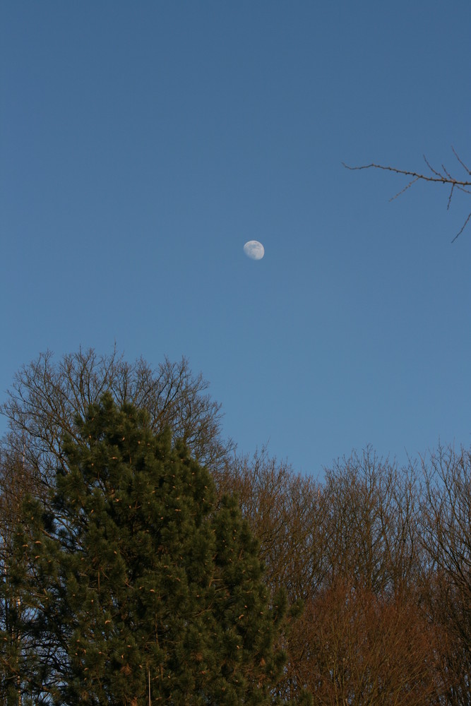 Mond nachmittags