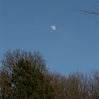 Mond nachmittags