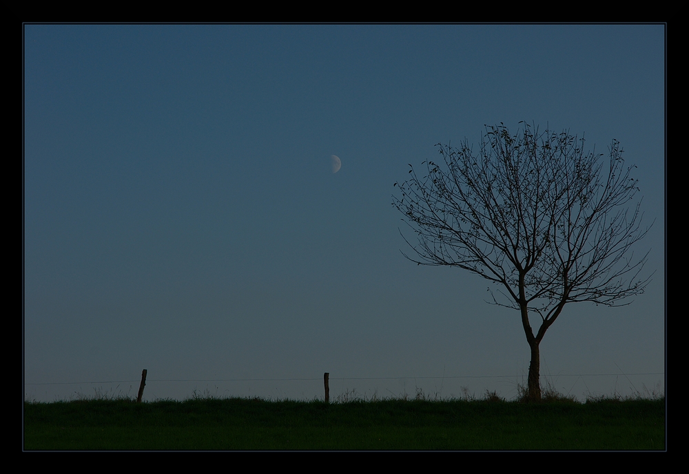 ...Mond schien Helle