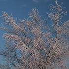 Mond - Schnee - Abendrot