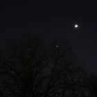 Mond trifft Venus (26.01.2012)