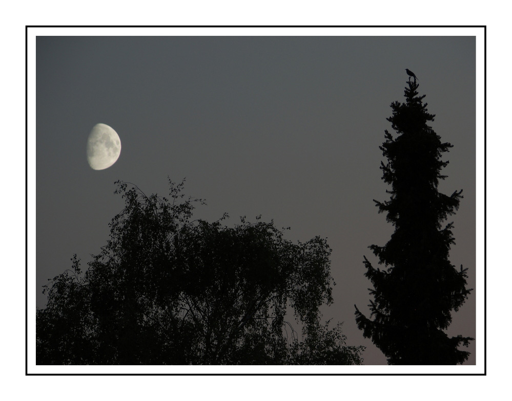 Mond über Berlin