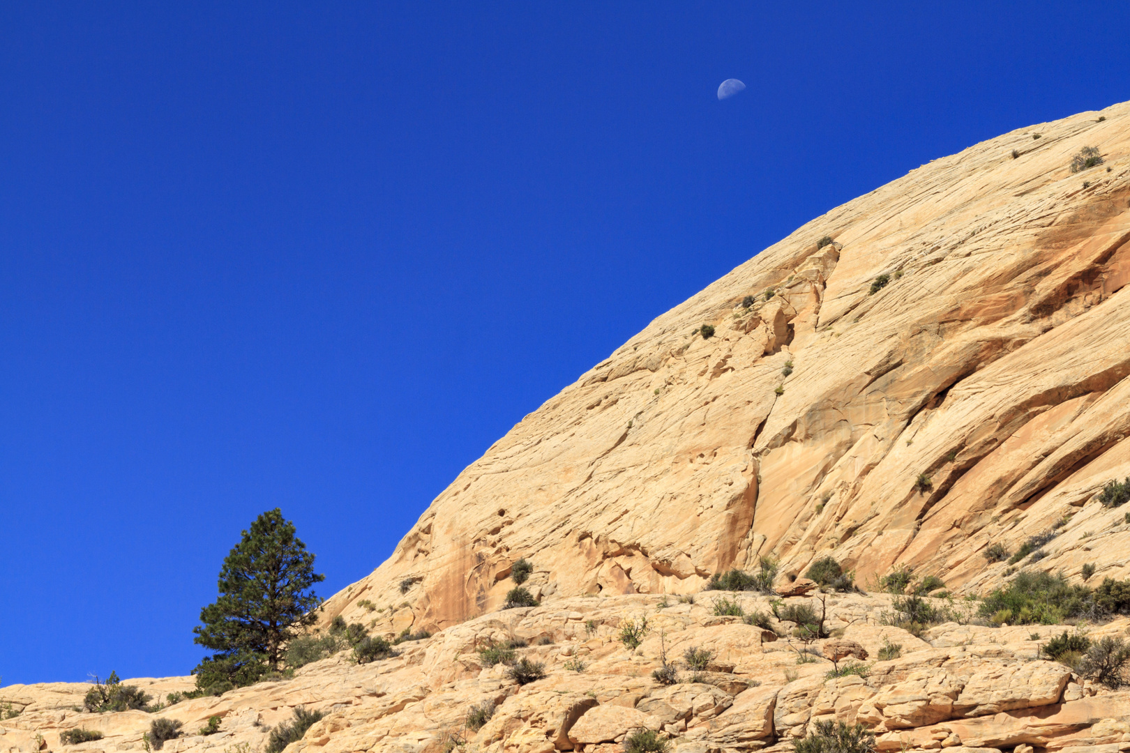 Mond über Capitol Reef