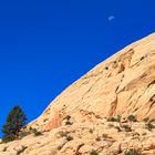 Mond über Capitol Reef