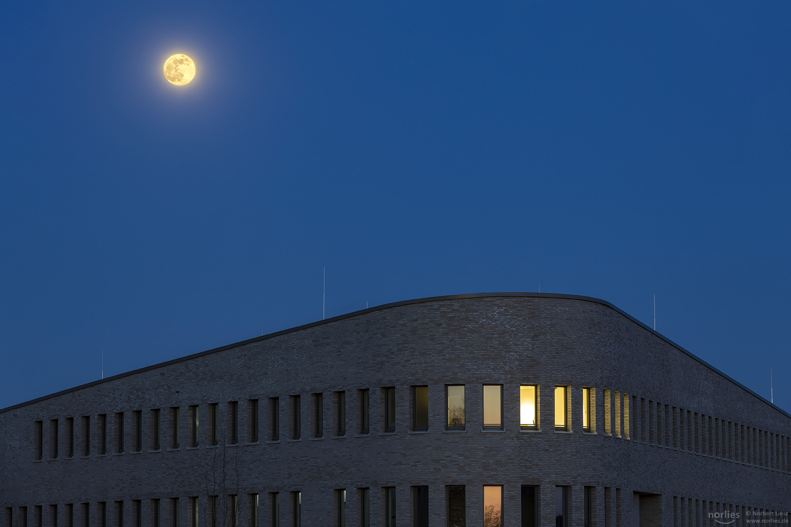 Mond über dem Beethovenpark