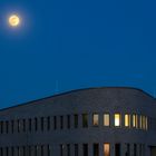 Mond über dem Beethovenpark