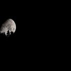 Mond über dem Cima del Bosco