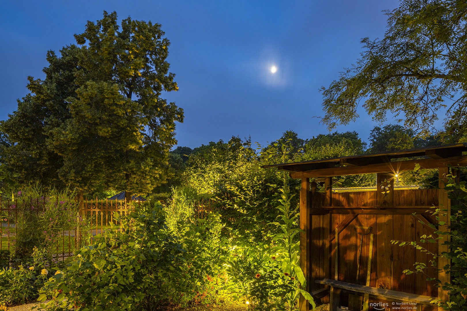 Mond über dem Hausgarten