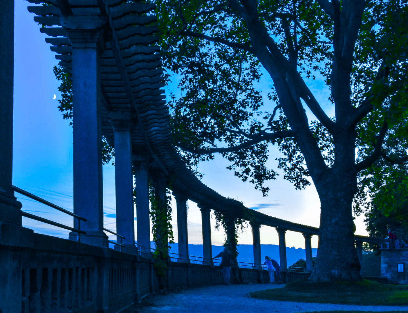 Mond über dem Kasseler Weinberg