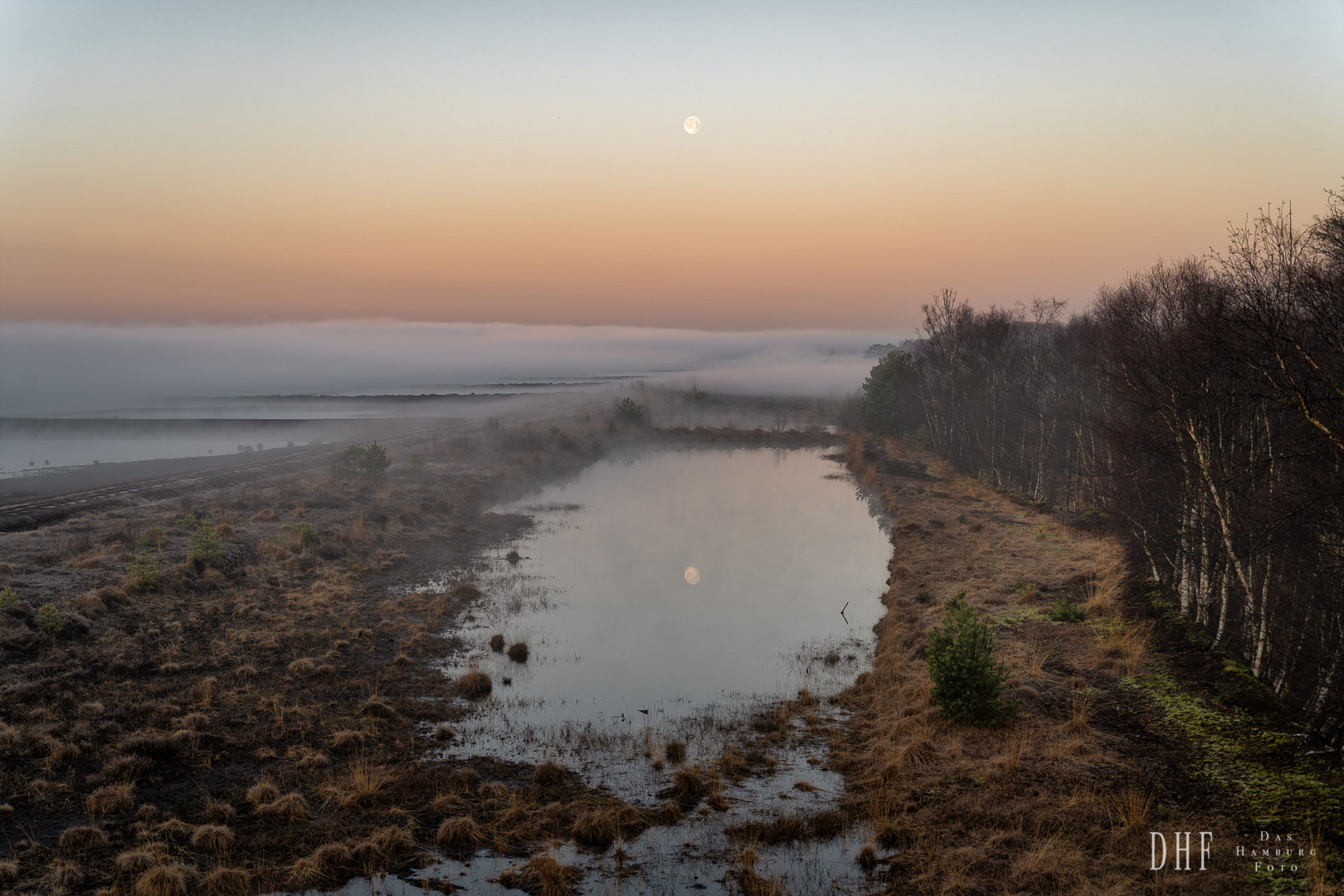 Mond über dem Moor