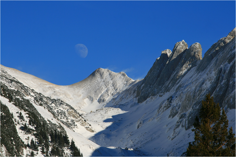 Mond über dem Mutschen