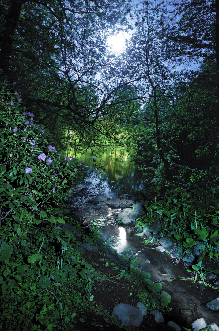 Mond über dem Quellenthal